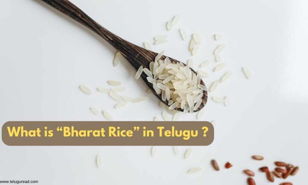 bharat rice 