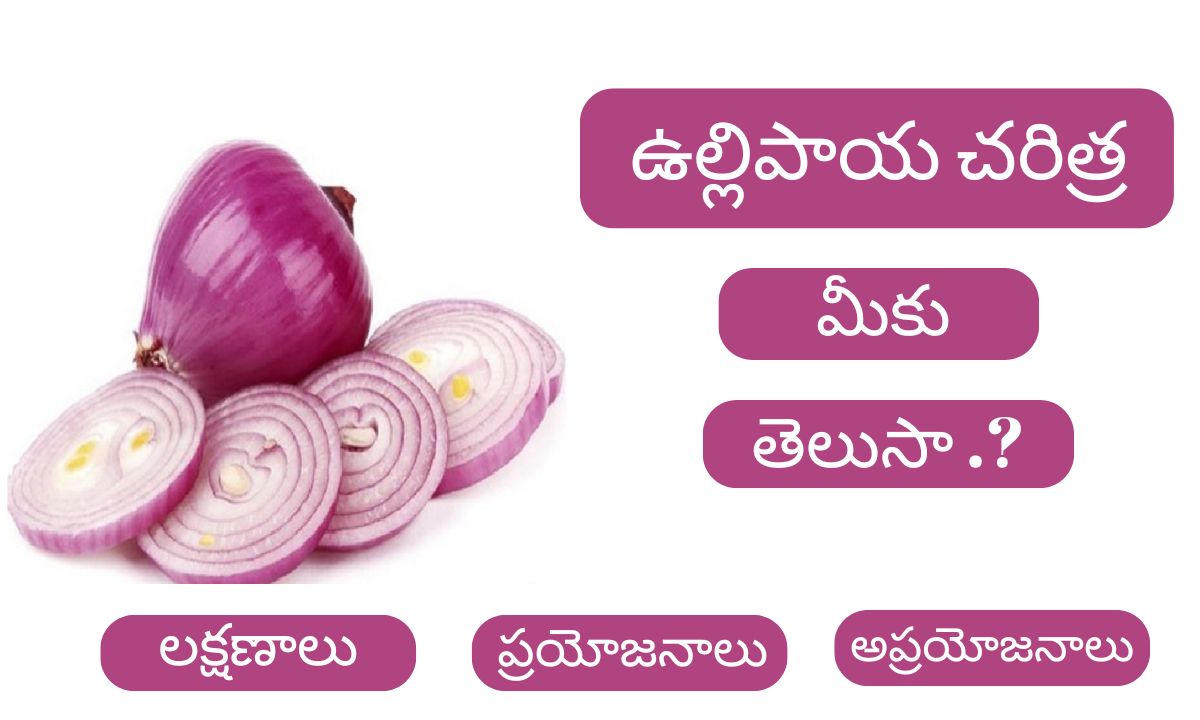 Benefits of onion in telugu